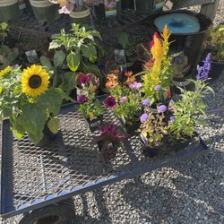 Gray Barn Nursery & Garden Center
