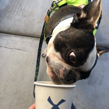 Dutch Bros Coffee - Coffee & Tea Near Me - Phoenix, Arizona Dutch Bros Coffee - Coffee & Tea Near Me - Phoenix, Arizona