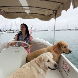 Having a great time in the harbor Having a great time in the harbor