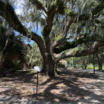 Lake Ella Park - Parks Near Me - Tallahassee, Florida Lake Ella Park - Parks Near Me - Tallahassee, Florida