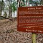 Photo of Holly Springs National Forest