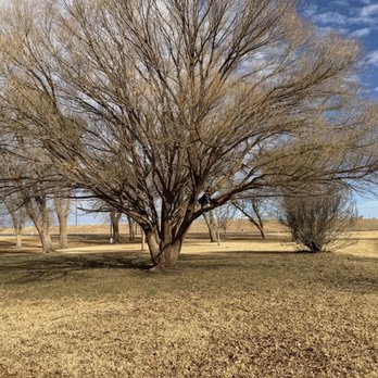 Forrest Park - 1.19.2026 - Playgrounds Near Me - Lamesa, Texas