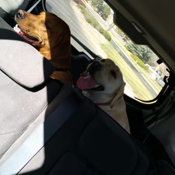 Memorial Park - They are worn out, LOL! Breathing like T-rex's! - Parks Near Me - Colorado Springs, Colorado Memorial Park - They are worn out, LOL! Breathing like T-rex's! - Parks Near Me - Colorado Springs, Colorado