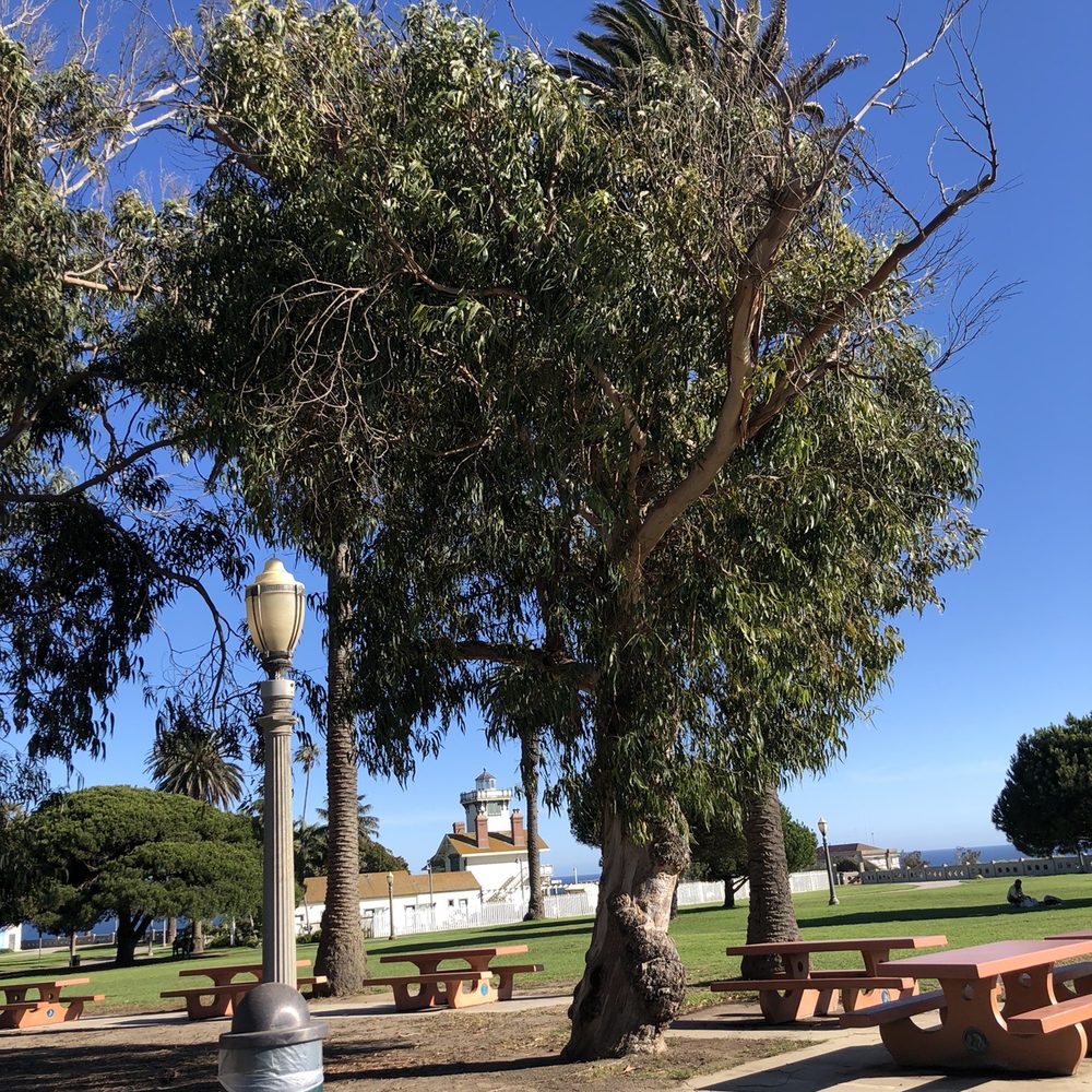 Angels Gate Park - Perfect place to have lunch - Parks Near Me - San Pedro, California
