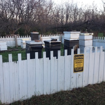 Kline Creek Farm - Bees! - Attraction Farms Near Me - West Chicago, Illinois