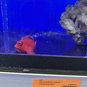 Richmond Aquarium - Aquarium Services Near Me - NORTH CHESTERFIELD, Virginia Richmond Aquarium - Aquarium Services Near Me - NORTH CHESTERFIELD, Virginia