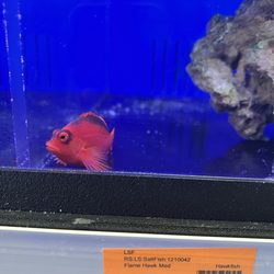 Richmond Aquarium
