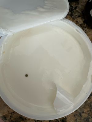 Caviar & Delicatessen Romanian-Russian-Armenian Deli & Grocery Store & Sandwich shop by null