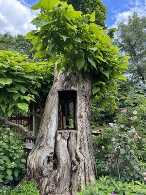 Cornell Botanic Gardens by null