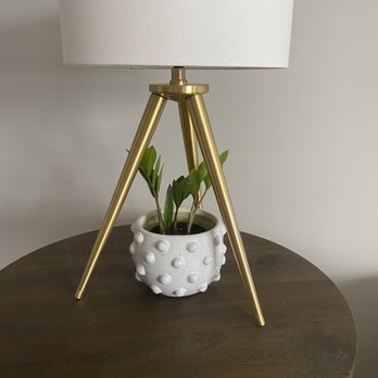 Sunnyside Plants - Nurseries & Gardening Near Me - Chicago, Illinois