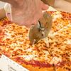 The Dough 305 gift card