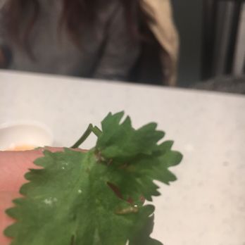 Thai Son Restaurant - Do you see what i see? - Vietnamese Near Me - Richmond, British Columbia