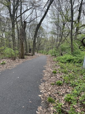 Inwood Hill Park by null