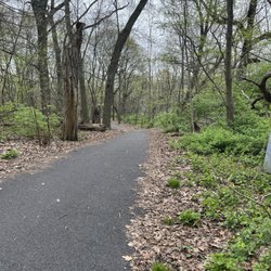 Inwood Hill Park - Beautiful trails!