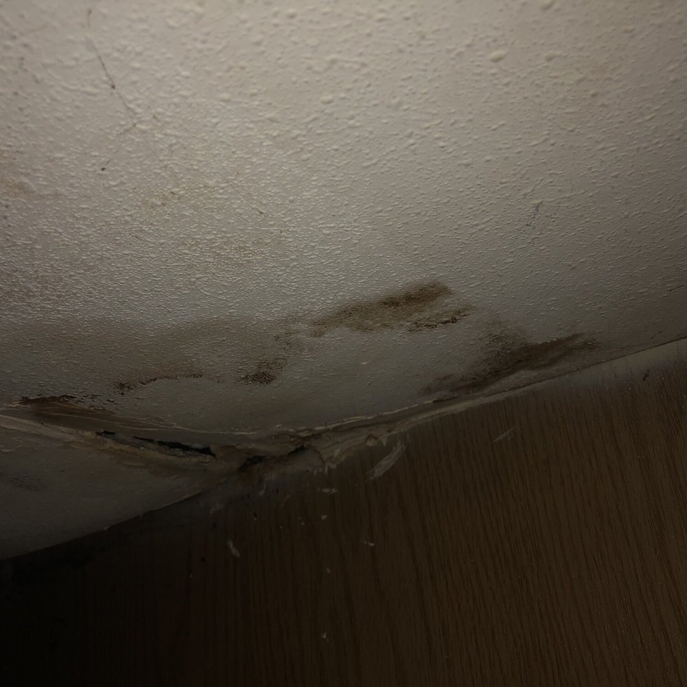 Aquia Realty - Roof leak hallway - Property Management Near Me - Stafford, Virginia Aquia Realty - Roof leak hallway - Property Management Near Me - Stafford, Virginia