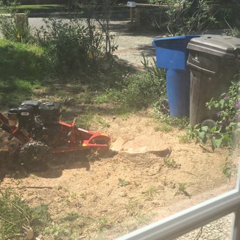 Noriega and Sons Tree Service - Landscaping Near Me Noriega and Sons Tree Service - Landscaping Near Me