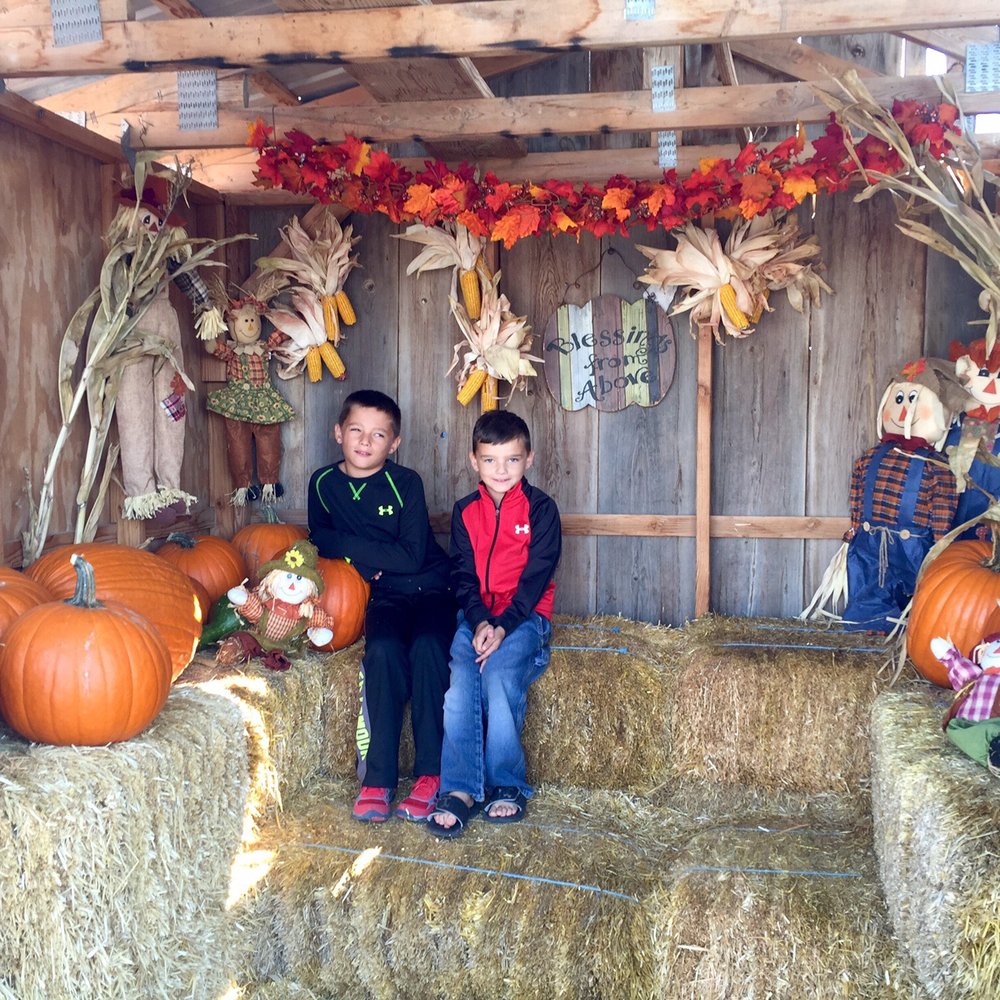 Galloping Goat Pumpkin Patch - Pumpkin Patches Near Me - Rio Rancho, New Mexico