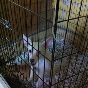 Pet City - Pet Stores Near Me - Whittier, California