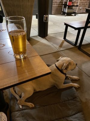 Sudwerk Brewing Co. by null