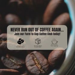 Unleashed Coffee