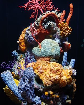 National Aquarium by null