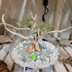 Gypsybeach Treasured Kreations