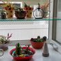Photo of Unwined Candles