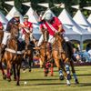Boston Polo School gift card