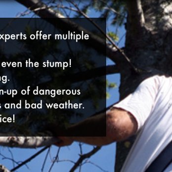 NYC Tree Pro - Manhattan Tree Services - Tree Services Near Me - New York, New York NYC Tree Pro - Manhattan Tree Services - Tree Services Near Me - New York, New York