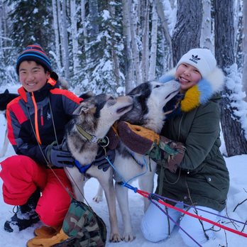 Sirius Sled Dogs - Sledding Near Me - Fairbanks, Alaska