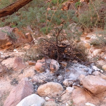 Havasu Falls - Another 5 horses seen burned after dying on the trail while carrying campers bags. - Hiking Near Me