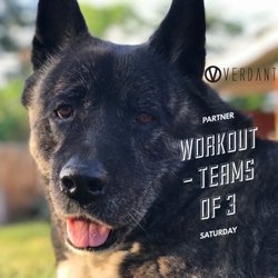 Verdant CrossFit - Team Workouts!
