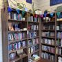 Photo of Lioness Books