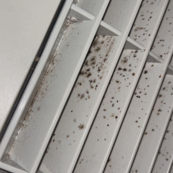 Aloft by Marriott Katy Mills - Black mold - Hotels Near Me - Katy, Texas Aloft by Marriott Katy Mills - Black mold - Hotels Near Me - Katy, Texas