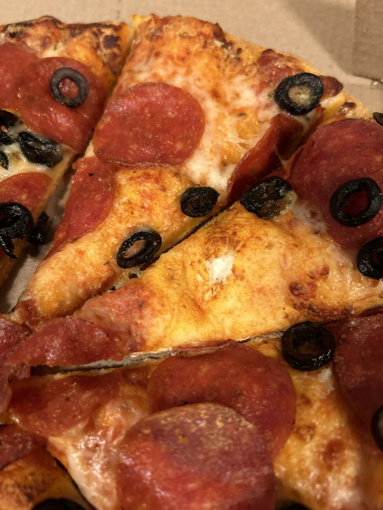 Dominos Pizza Logo