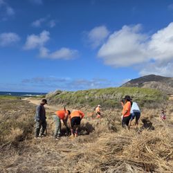 808 Cleanups
