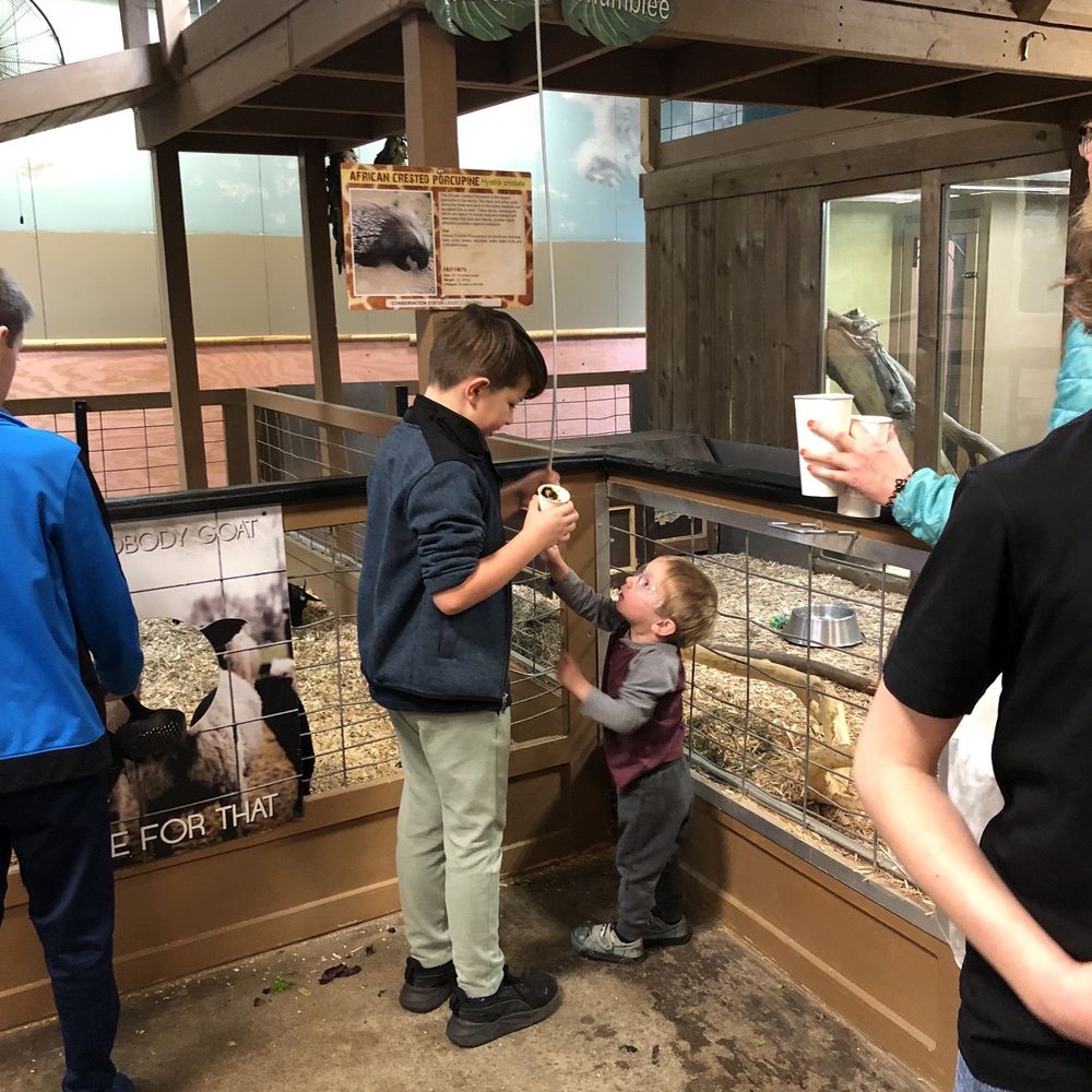 Maplewood Mall - Sustainable safari - Shopping Centers Near Me - Saint Paul, Minnesota