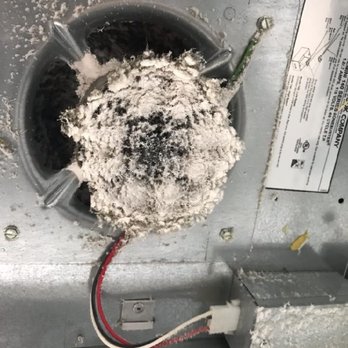 1st Choice Air Duct Care - A/C vent - Air Duct Cleaning Near Me 1st Choice Air Duct Care - A/C vent - Air Duct Cleaning Near Me
