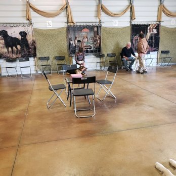 Thriving Canine - Chad's intermediate/advance drop in class - Pet Training Near Me