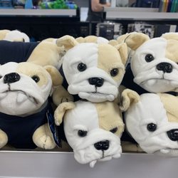 Georgetown University Bookstore - The mascot