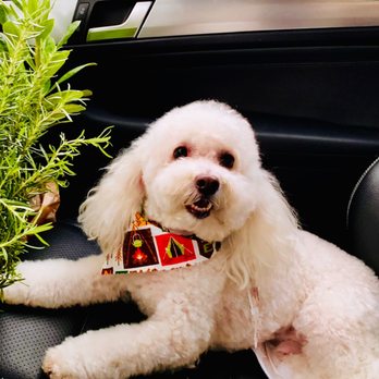 Wishbone Pet Care - Pet Groomers Near Me - Missouri City, Texas