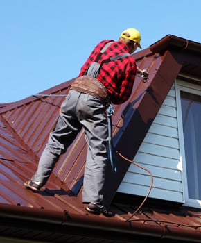 Slide of Roof Monkey