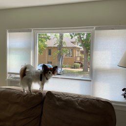 With cellular shades installed.
