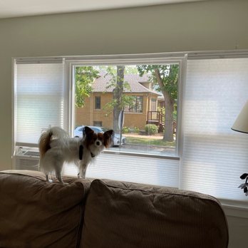 JC Lilly Windows and Doors - With cellular shades installed. - Windows Installation Near Me - Chicago, Illinois