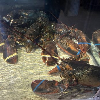 Red Lobster - Lobster tank - Seafood Near Me - Riverside, California Red Lobster - Lobster tank - Seafood Near Me - Riverside, California