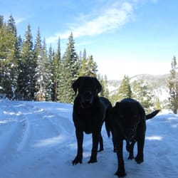 K9 Adventure Fitness