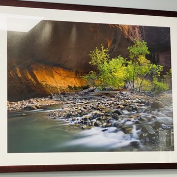 McMinn Dental Center - A perfect example of lighting and timing, hanging in the foyer viewing gallery. - Cosmetic Dentists Near Me - Athens, Tennessee