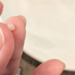 Hard piece of plastic in the sushi. Hard piece of plastic in the sushi.