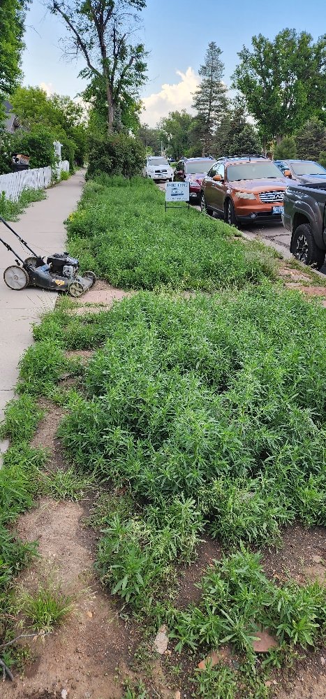 Slide of Apex Repairs