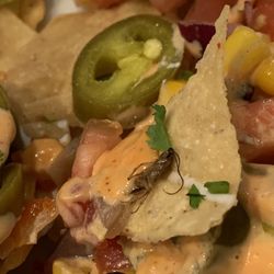 Dave & Buster's Greenville